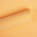 Feltro Nude 180gr - Ribes y Casals