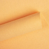 Feltro Nude 180gr - Ribes y Casals