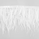 Franja Penas Brancas - Ribes y Casals