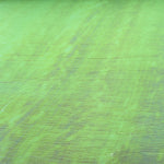 Espuma Verde Nacar - Ribes y Casals