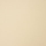 Flanela De Algodão Bege - Ribes y Casals