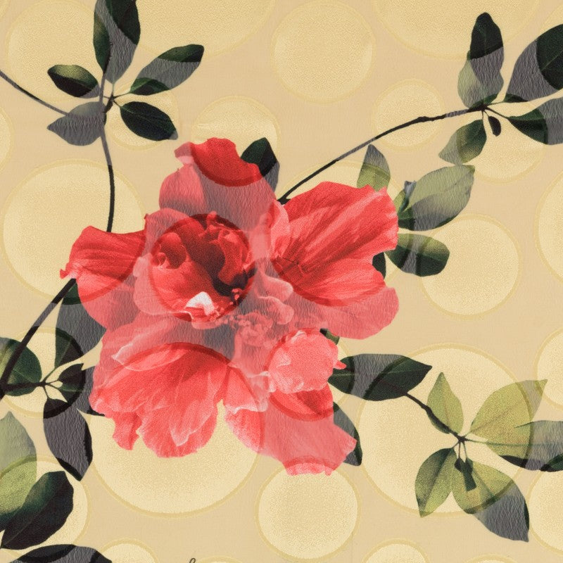 Gasa Devoré - Ribes y Casals