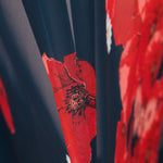 Gaze Poliéster Japan Agua-Marinha - Ribes y Casals