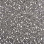 Gaze Flash Bolinhas Preta - Ribes y Casals