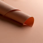 Goma Eva Salmão - Ribes y Casals