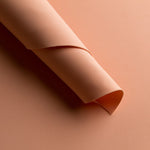 Goma Eva Salmão - Ribes y Casals