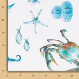 Half Panamá cavalo-marinho mar azul - Ribes y Casals