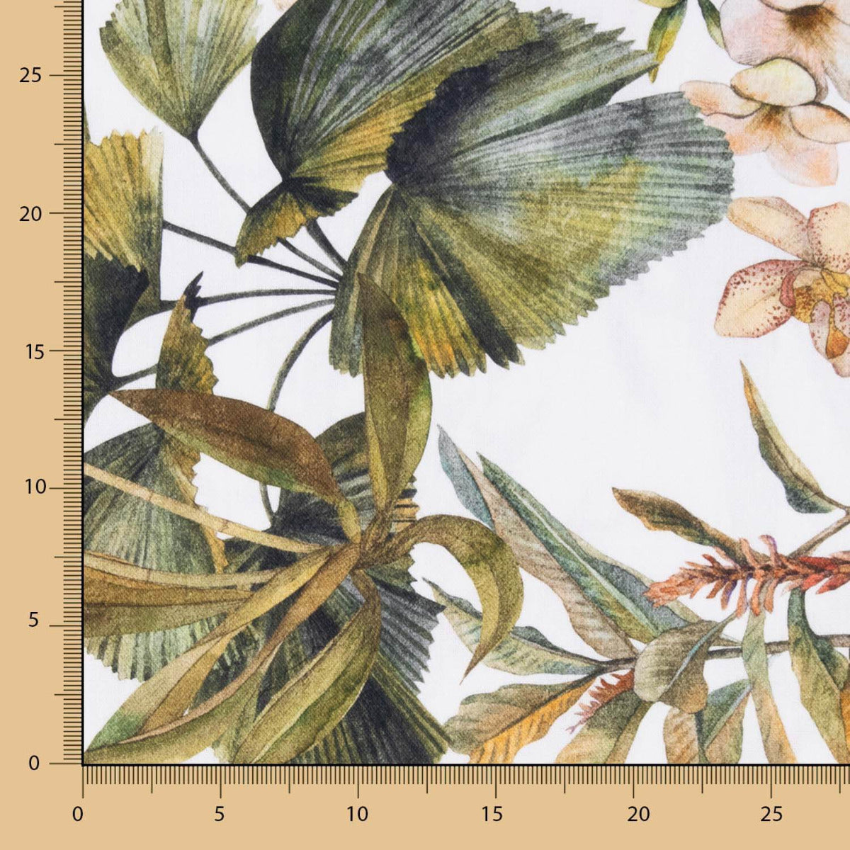 Half Panamá  Pantera Negra - Ribes y Casals