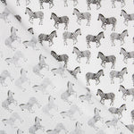 Algodão Antibacteriano Zebras - Ribes y Casals