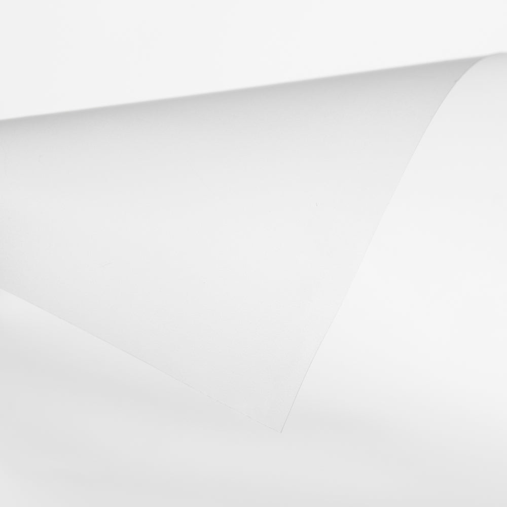 Retal Plástico Uso Alimentario Transparente 110x160 cm - Ribes y Casals