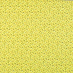 Algodão Bolas Tênis - Ribes y Casals