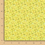 Algodão Bolas Tênis - Ribes y Casals