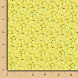 Algodão Bolas Tênis - Ribes y Casals