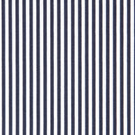 Algodão Vichy Azul Marinho - Ribes y Casals