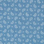 Denim Algodão Claro Caxemira Mini - Ribes y Casals