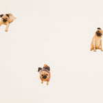 Sarja Carlino Cru - Ribes y Casals