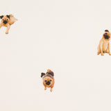 Sarja Carlino Cru - Ribes y Casals