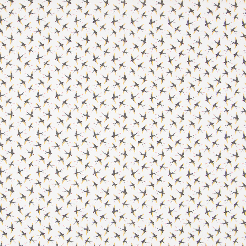 Popelín Algodón Pájaros Crudo - Ribes y Casals