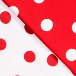 dos caras - Ribes y Casals