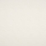 Jacquard Spandex Ondas Cru - Ribes y Casals