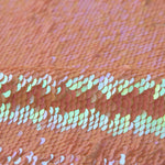 Lentejuela multicolor - Ribes y Casals