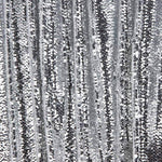 Lantejoula Fantasia Holográfica Prata - Ribes y Casals