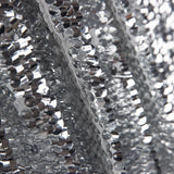 Lantejoula Fantasia Holográfica Prata - Ribes y Casals