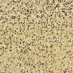 Lantejoula Franja Dourada - Ribes y Casals