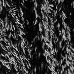 Lantejoula Lycra Cheers Preto - Ribes y Casals