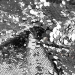 Lentejuela Maxi Plata - Ribes y Casals