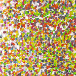 Tule Rosa com Brilhos de Confete e Mini Lantejoulas Multicoloridas - Ribes y Casals