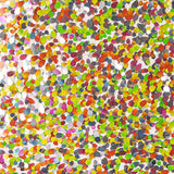 Tule Rosa com Brilhos de Confete e Mini Lantejoulas Multicoloridas - Ribes y Casals