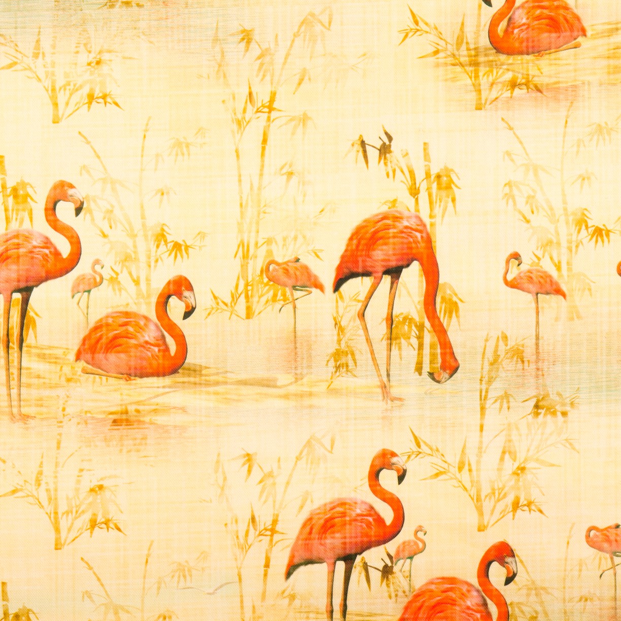 Loneta algodón - Ribes y Casals