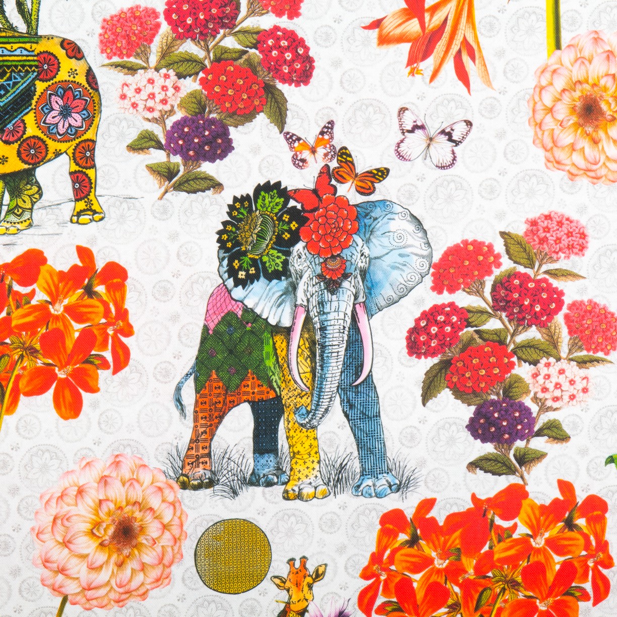 Loneta algodón - Ribes y Casals