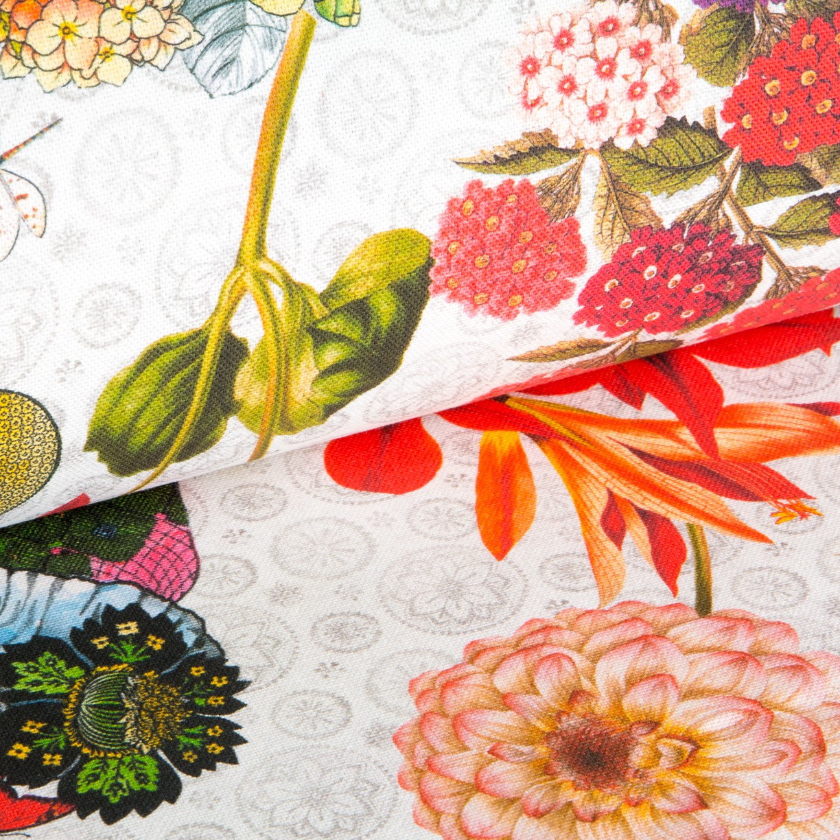 Loneta algodón - Ribes y Casals