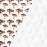 Lonetas Algodón - Ribes y Casals