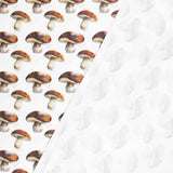 Lonetas Algodón - Ribes y Casals