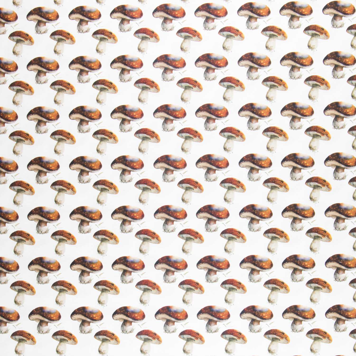 Lonetas Algodón - Ribes y Casals