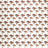 Lonetas Algodón - Ribes y Casals