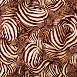 Lonetas Algodón - Ribes y Casals