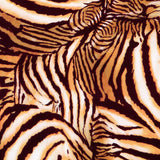 Lonetas Algodón - Ribes y Casals