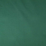 Lona de Algodão Verde - Ribes y Casals