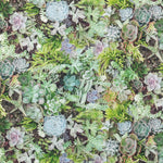 Loneta Mapamundi - Ribes y Casals