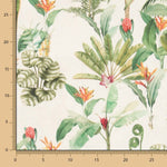 Lona Kailani - Ribes y Casals