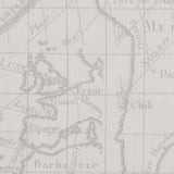 Loneta estampada - Ribes y Casals