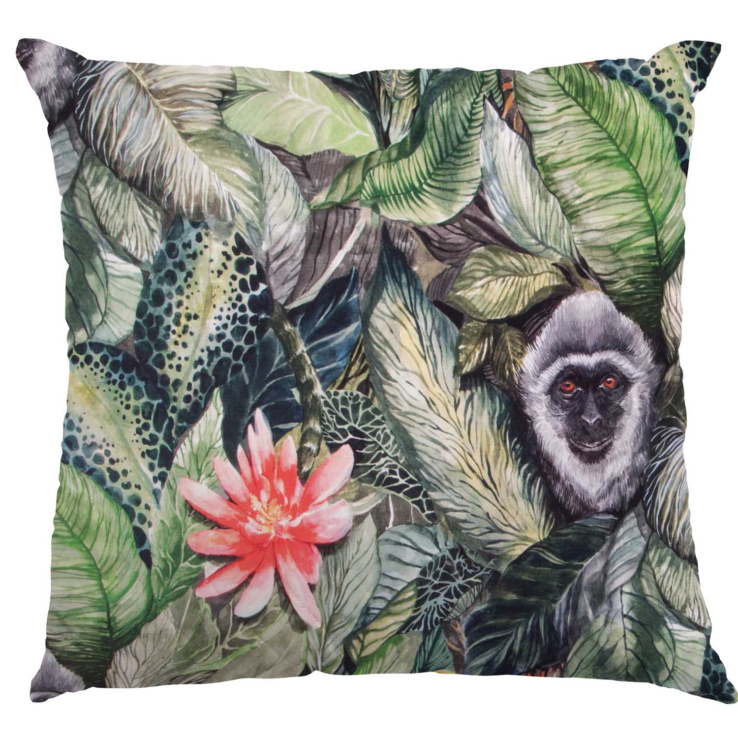 Lonetas Algodón - Ribes y Casals