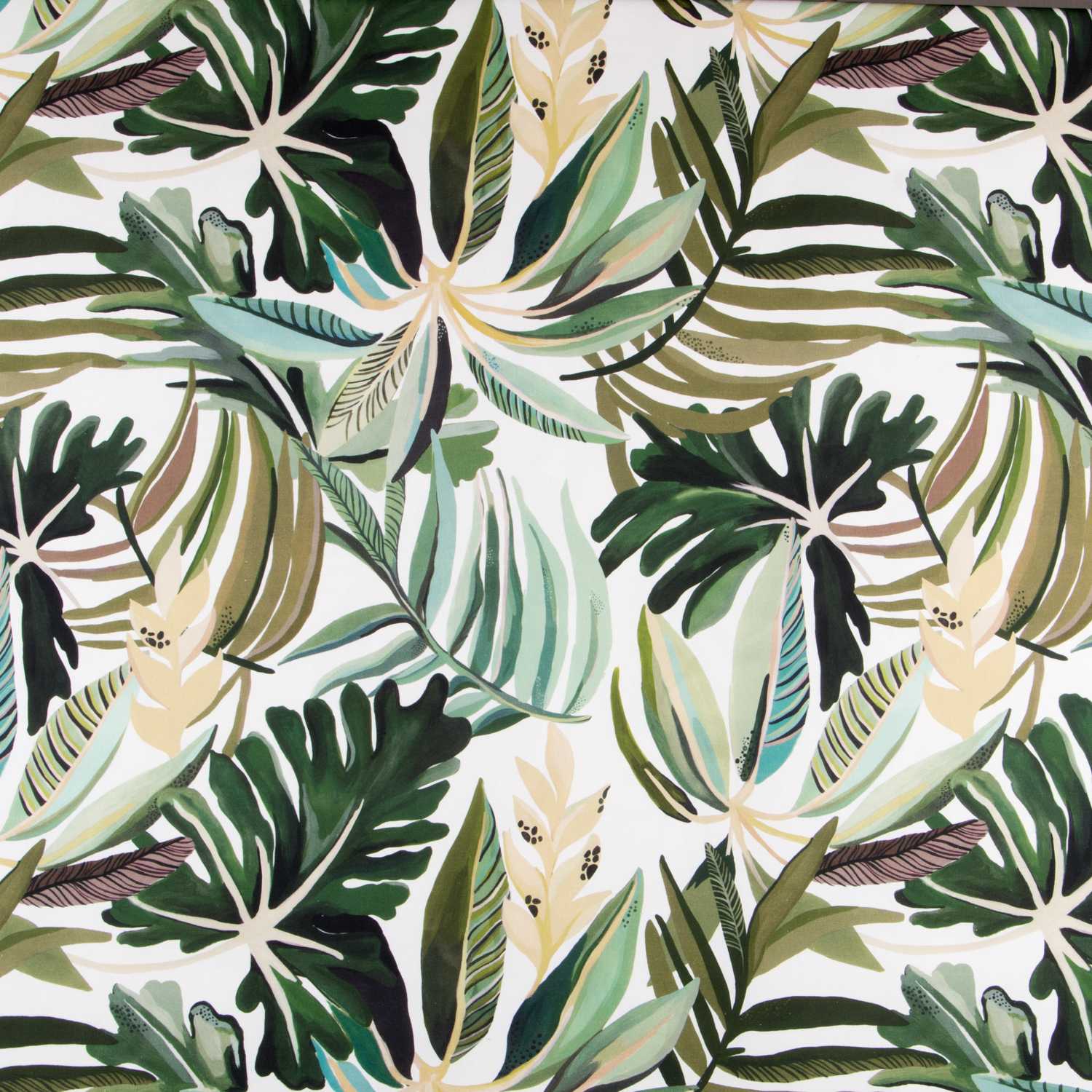 Lonetas Algodón - Ribes y Casals