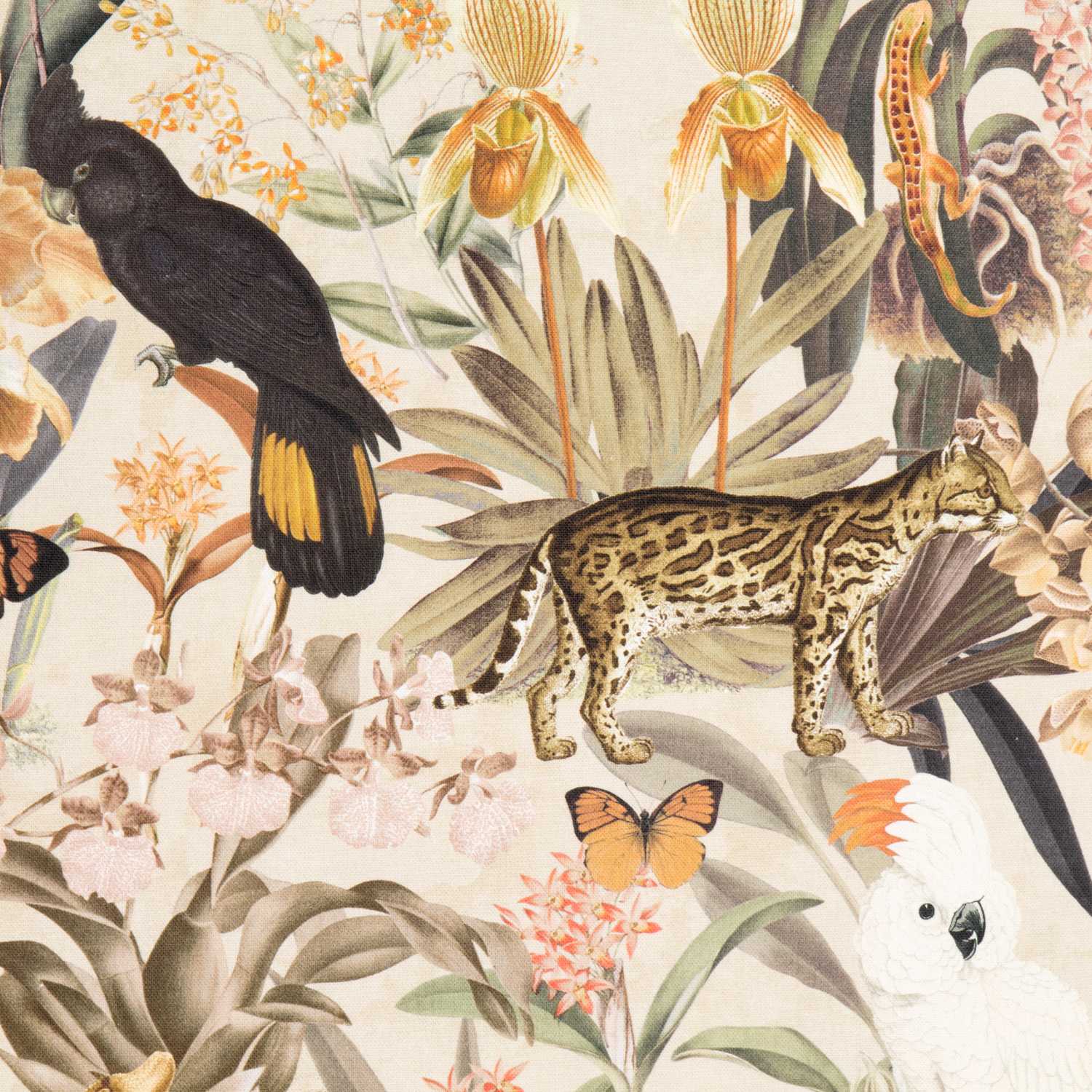 Lonetas Algodón - Ribes y Casals