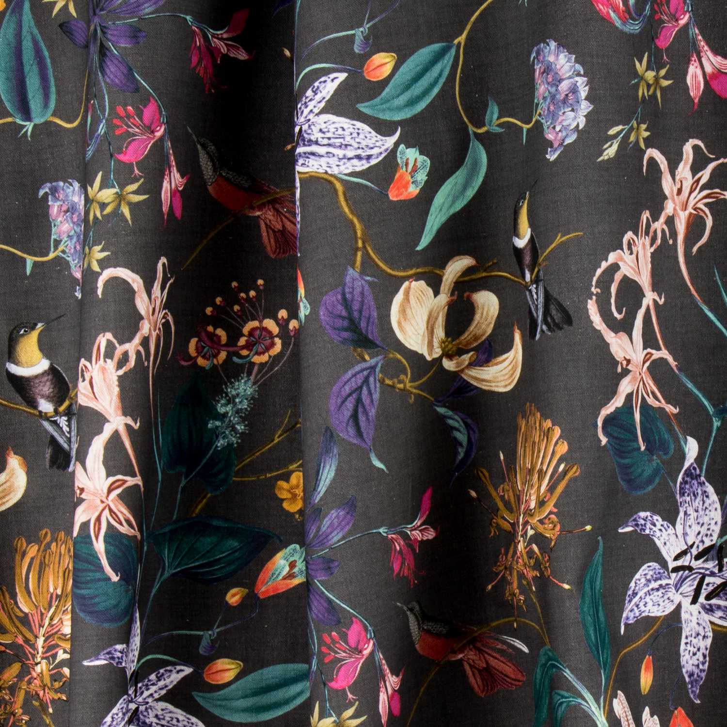 Lonetas Algodón - Ribes y Casals