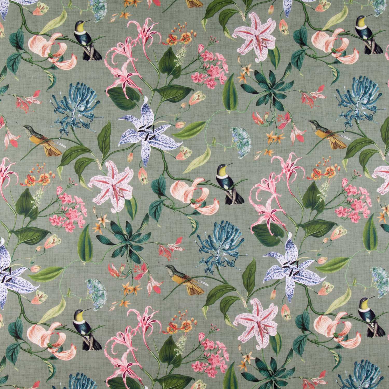 Lonetas Algodón - Ribes y Casals